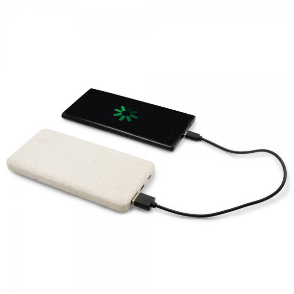 Power bank 8000 mAh ze słomy pszenicznej | Jenkins